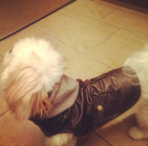 Sporting the hottest new leather coat 